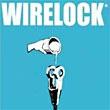 WIRELOCK® RESIN FOR SPELTER SOCKETS